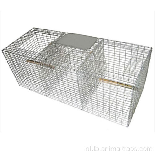 Certificering roestvrijstalen vogelspike